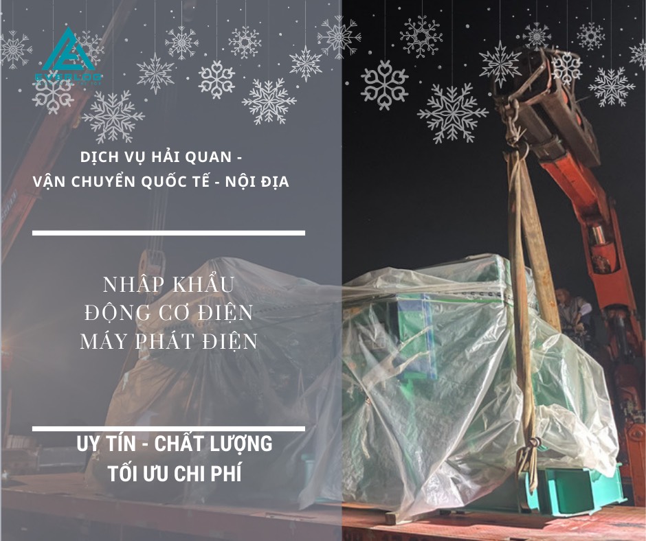 lĩnh vực hoạt động